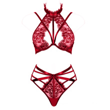 Venta caliente Sexy Red Lingerie Bra Set de bragas